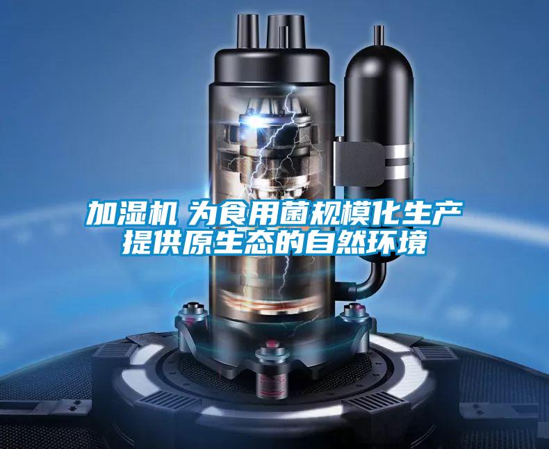 加濕機 為食用菌規(guī)模化生產(chǎn)提供原生態(tài)的自然環(huán)境