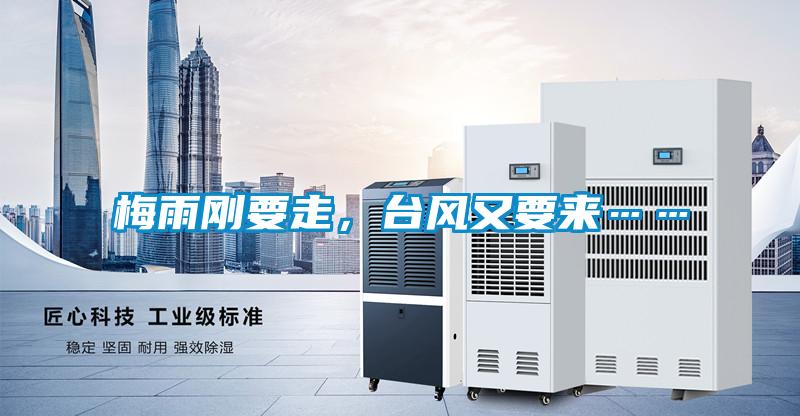 梅雨剛要走，臺風又要來……