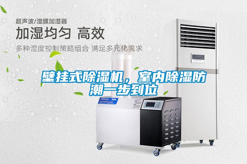 壁掛式除濕機,室內除濕防潮一步到位