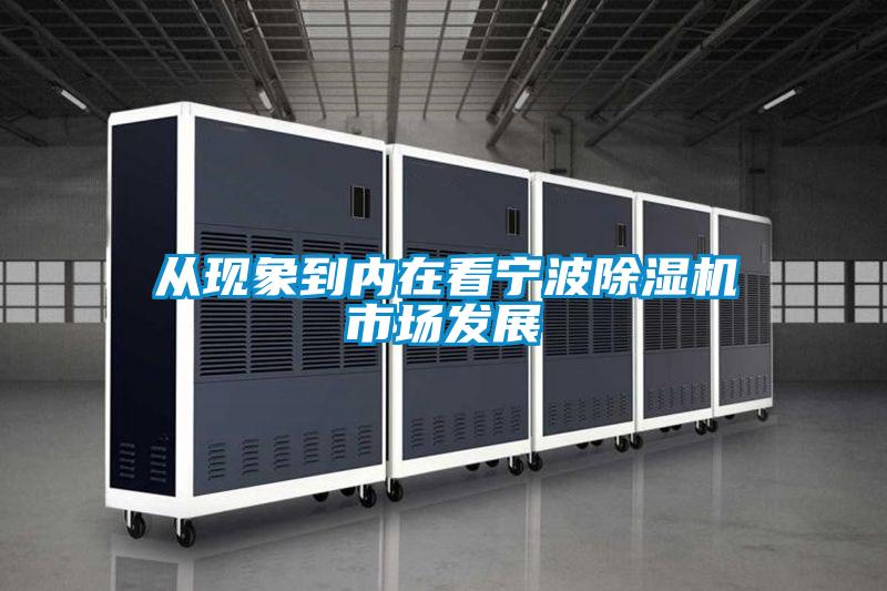 從現象到內在看寧波除濕機市場發展