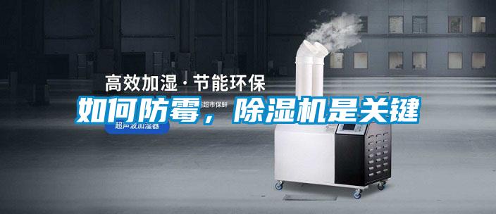 如何防霉，除濕機是關鍵