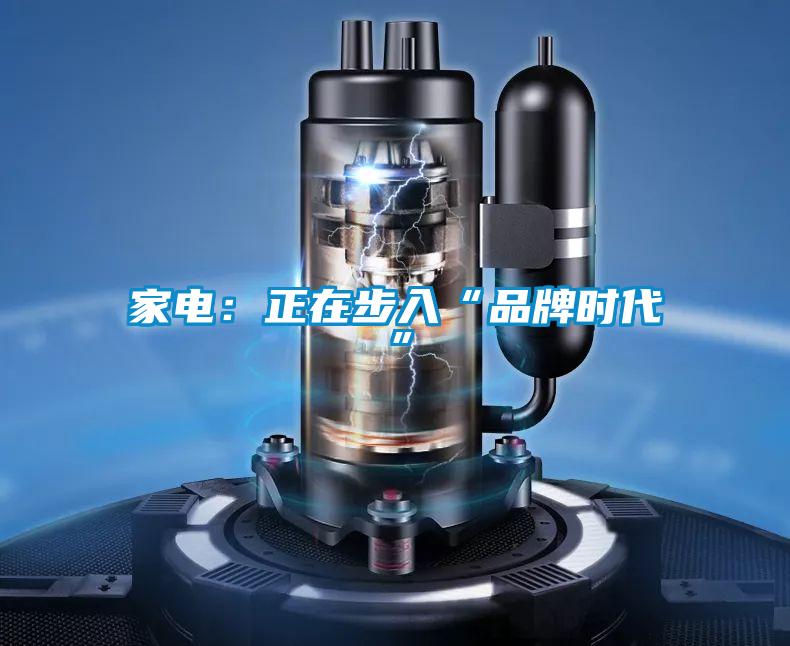 家電:正在步入“品牌時代”