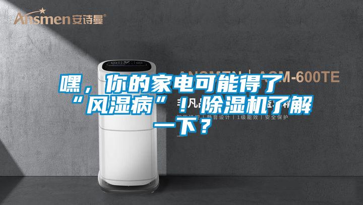 嘿，你的家電可能得了“風濕病”！除濕機了解一下？