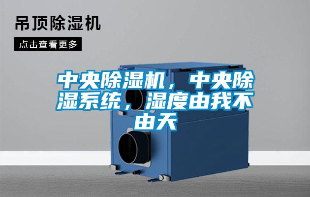 中央除濕機，中央除濕系統(tǒng)，濕度由我不由天