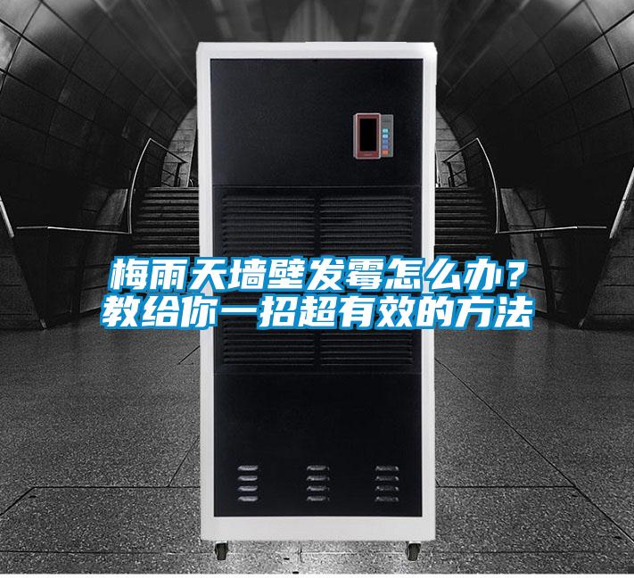 梅雨天墻壁發霉怎么辦?教給你一招超有效的方法