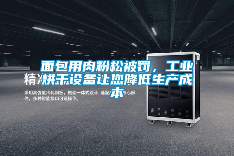 面包用肉粉松被罰,工業(yè)烘干設備讓您降低生產(chǎn)成本