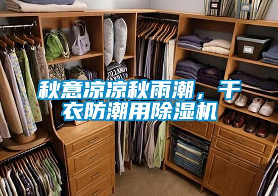 秋意涼涼秋雨潮,干衣防潮用除濕機(jī)