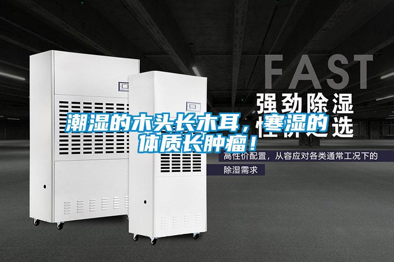 潮濕的木頭長木耳，寒濕的體質長腫瘤！