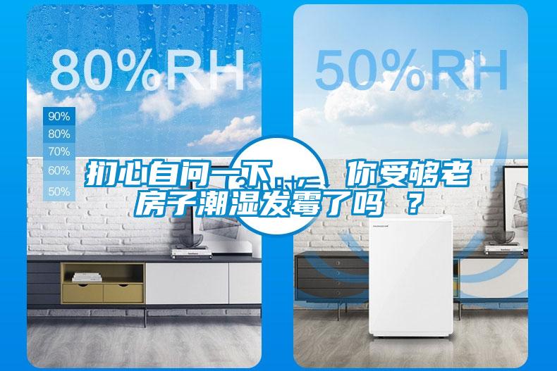 捫心自問一下 , 你受夠老房子潮濕發(fā)霉了嗎 ?