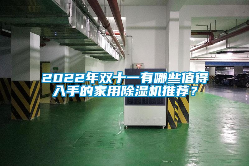 2022年雙十一有哪些值得入手的家用除濕機推薦？