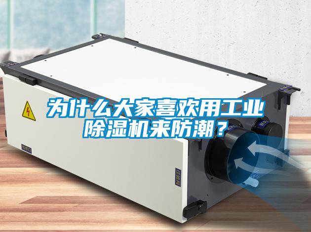 為什么大家喜歡用工業除濕機來防潮？