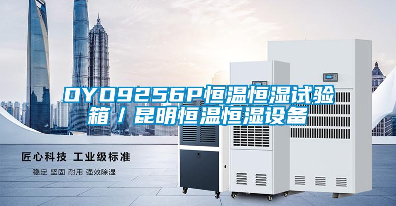 OYO9256P恒溫恒濕試驗(yàn)箱/昆明恒溫恒濕設(shè)備