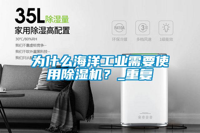 為什么海洋工業(yè)需要使用除濕機？_重復
