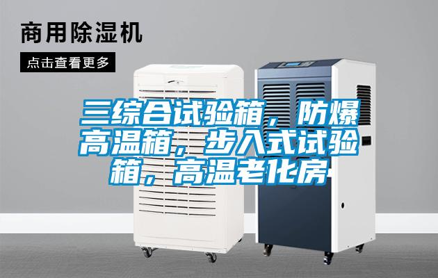 三綜合試驗箱，防爆高溫箱，步入式試驗箱，高溫老化房