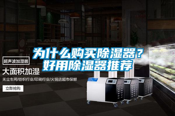 為什么購買除濕器?好用除濕器推薦