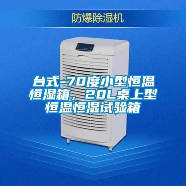 臺式-70度小型恒溫恒濕箱，20L桌上型恒溫恒濕試驗箱