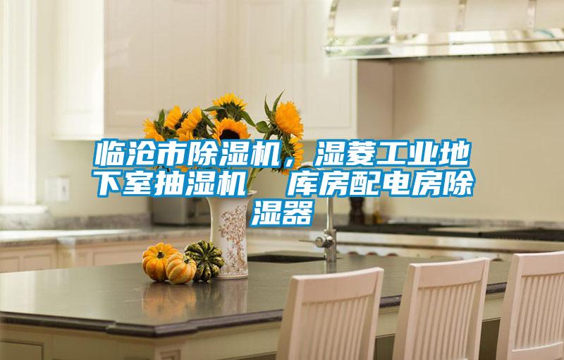 臨滄市除濕機(jī)，濕菱工業(yè)地下室抽濕機(jī)  庫(kù)房配電房除濕器