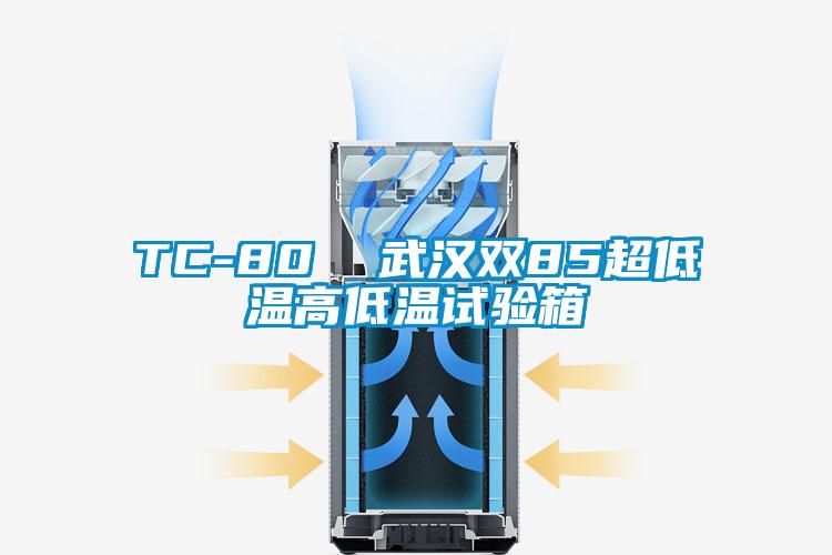 TC-80 武漢雙85超低溫高低溫試驗箱