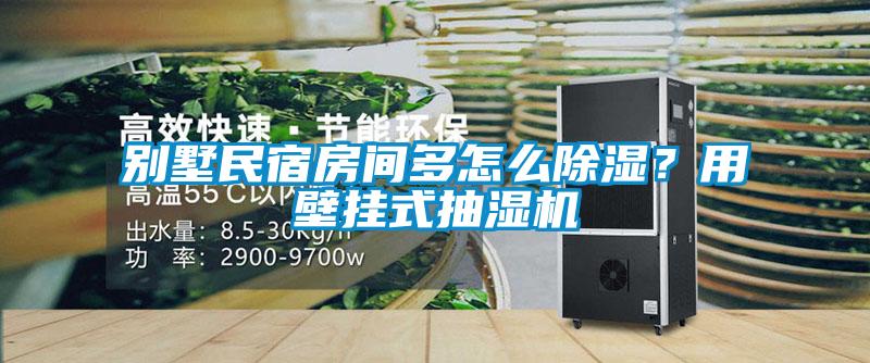 別墅民宿房間多怎么除濕？用壁掛式抽濕機