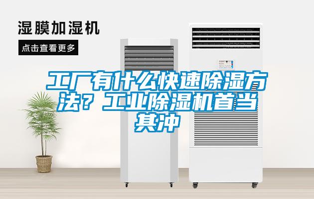 工廠有什么快速除濕方法?工業除濕機首當其沖