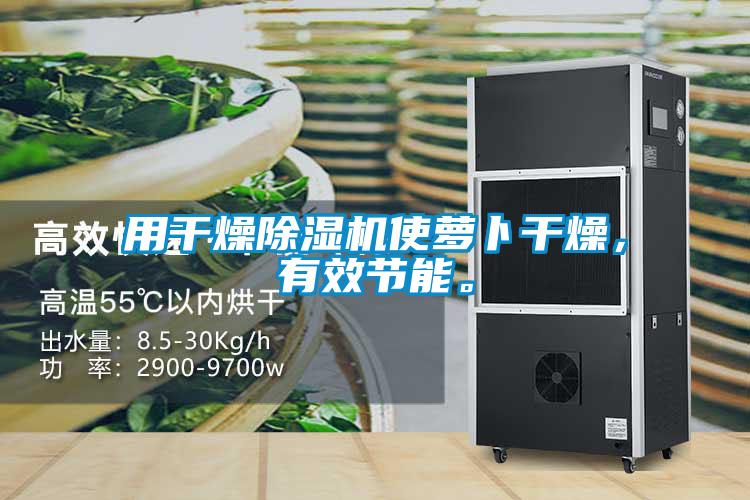 用干燥除濕機使蘿卜干燥,有效節(jié)能。