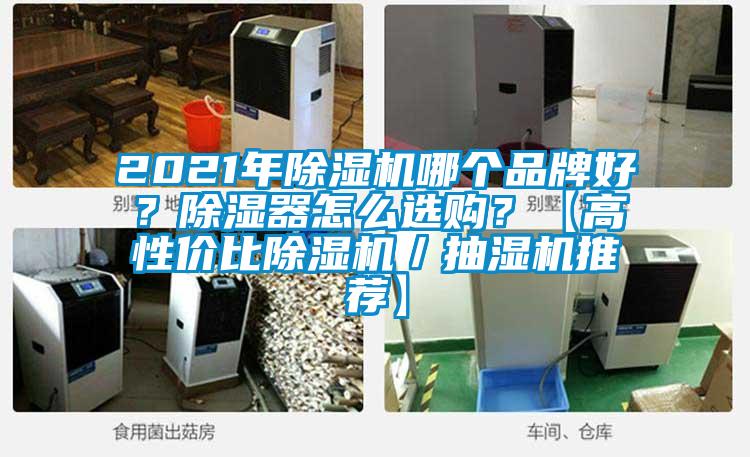 2021年除濕機哪個品牌好?除濕器怎么選購?【高性價比除濕機/抽濕機推薦】