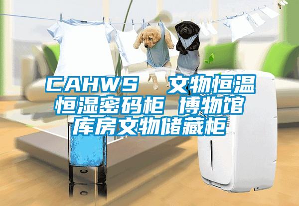 CAHWS 文物恒溫恒濕密碼柜 博物館庫房文物儲藏柜