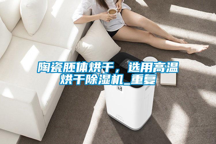 陶瓷胚體烘干,選用高溫烘干除濕機(jī)_重復(fù)