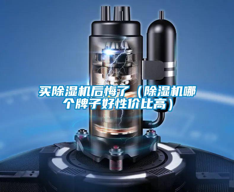 買除濕機后悔了(除濕機哪個牌子好性價比高)