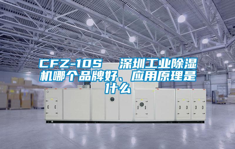CFZ-10S  深圳工業除濕機哪個品牌好、應用原理是什么