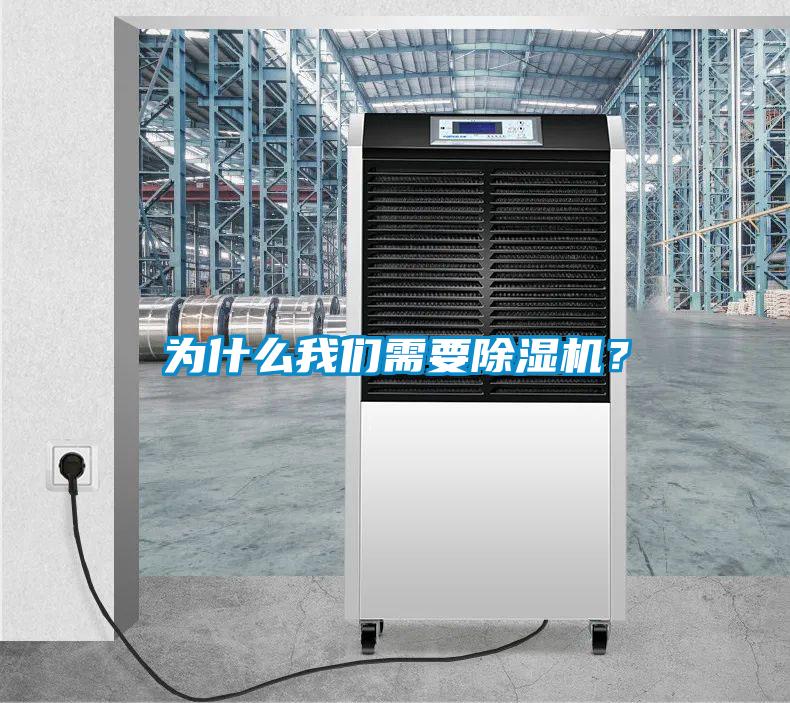 為什么我們需要除濕機?