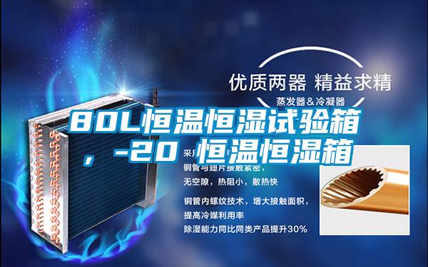 80L恒溫恒濕試驗(yàn)箱,-20℃恒溫恒濕箱