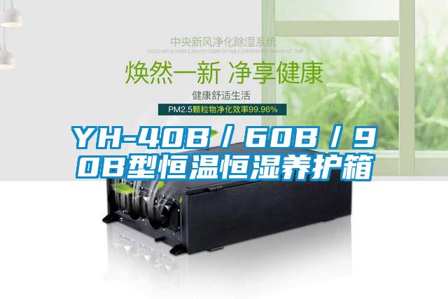 YH-40B/60B/90B型恒溫恒濕養(yǎng)護(hù)箱
