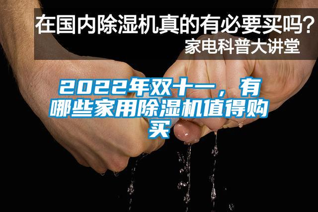 2022年雙十一，有哪些家用除濕機(jī)值得購買
