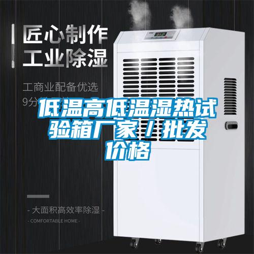 低溫高低溫濕熱試驗箱廠家/批發價格