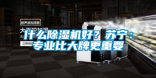 什么除濕機(jī)好?蘇寧:專業(yè)比大牌更重要