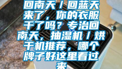 回南天／回藍天來了，你的衣服干了嗎？專治回南天，抽濕機／烘干機推薦，哪個牌子好這里看過來