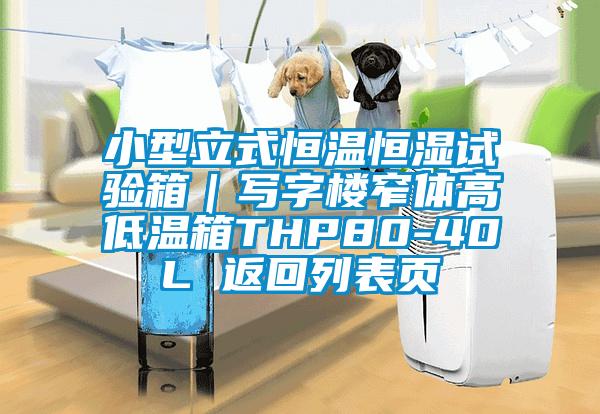 小型立式恒溫恒濕試驗箱|寫字樓窄體高低溫箱THP80-40L 返回列表頁