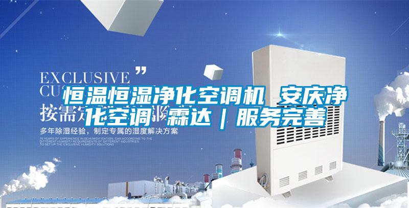 恒溫恒濕凈化空調(diào)機 安慶凈化空調(diào) 霖達|服務(wù)完善