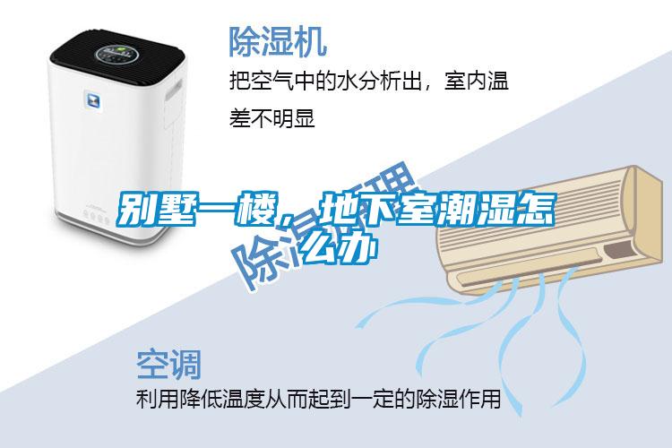 別墅一樓，地下室潮濕怎么辦