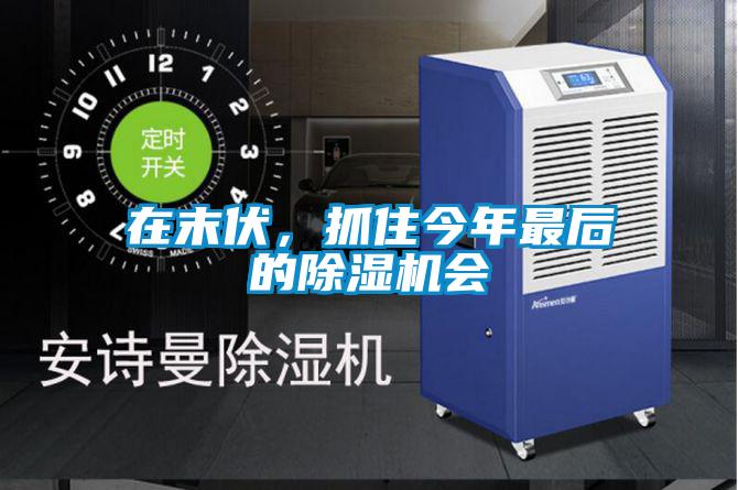 在末伏，抓住今年最后的除濕機會