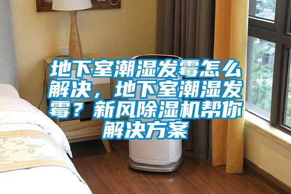 地下室潮濕發(fā)霉怎么解決，地下室潮濕發(fā)霉？新風(fēng)除濕機(jī)幫你解決方案