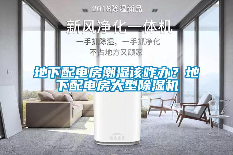 地下配電房潮濕該咋辦？地下配電房大型除濕機(jī)