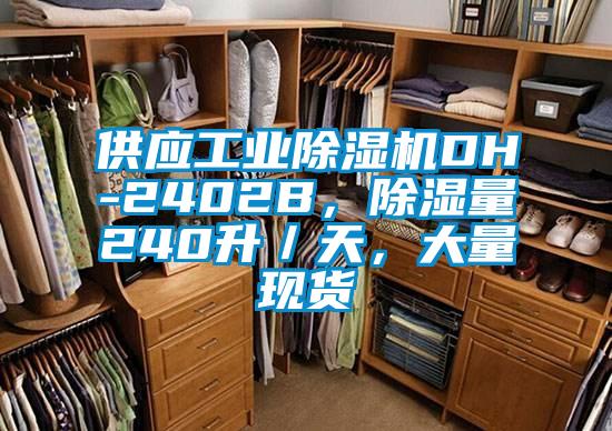 供應(yīng)工業(yè)除濕機(jī)DH-2402B，除濕量240升／天，大量現(xiàn)貨