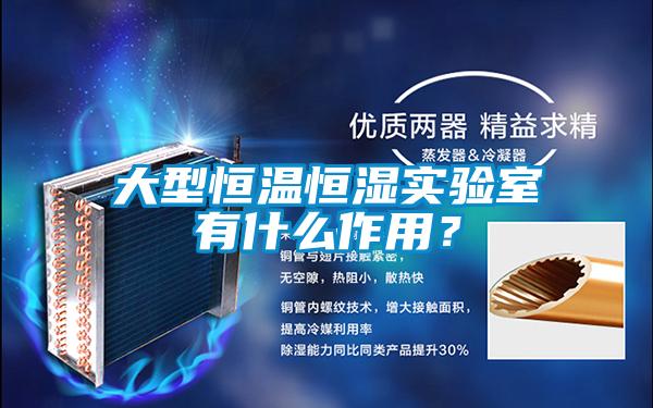 大型恒溫恒濕實驗室有什么作用？