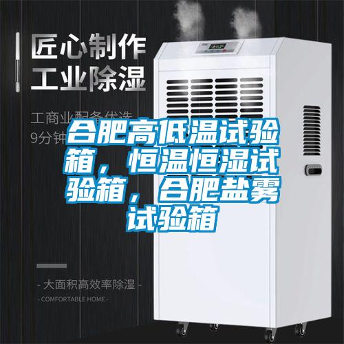 合肥高低溫試驗(yàn)箱,恒溫恒濕試驗(yàn)箱,合肥鹽霧試驗(yàn)箱