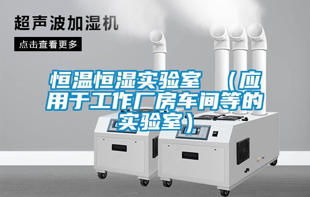 恒溫恒濕實(shí)驗室 （應(yīng)用于工作廠房車間等的實(shí)驗室）