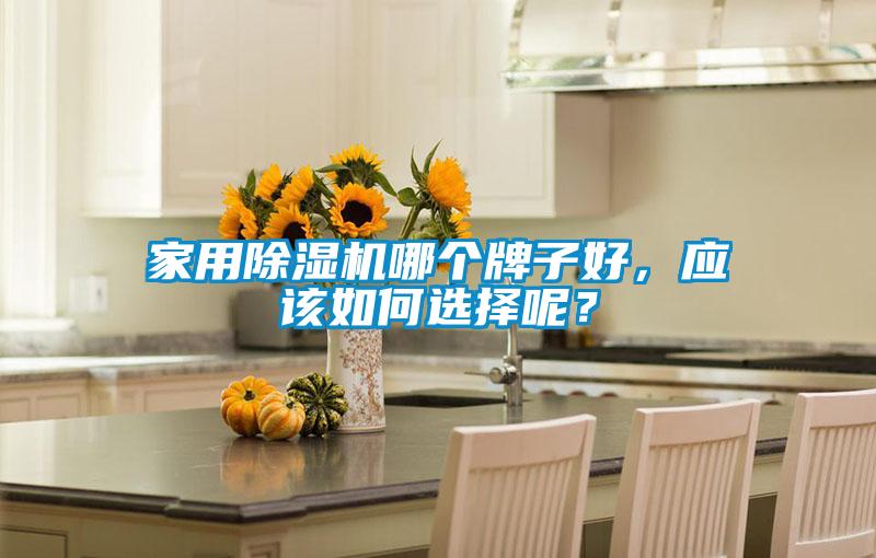 家用除濕機哪個牌子好,應該如何選擇呢?