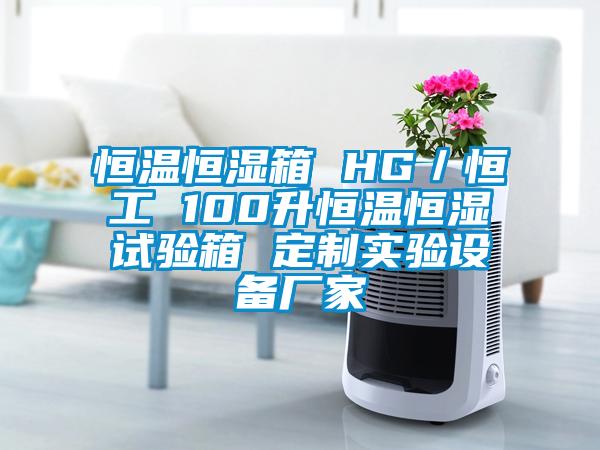 恒溫恒濕箱 HG/恒工 100升恒溫恒濕試驗箱 定制實驗設備廠家