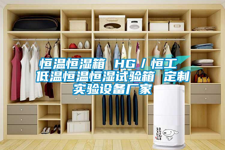 恒溫恒濕箱 HG/恒工 低溫恒溫恒濕試驗(yàn)箱 定制實(shí)驗(yàn)設(shè)備廠家